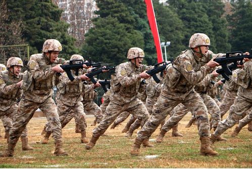 士兵考学比高考简单?为什么“上岸”的路依然让人忐忑不安(图2) 7bbe699e3a639fb4.jpg